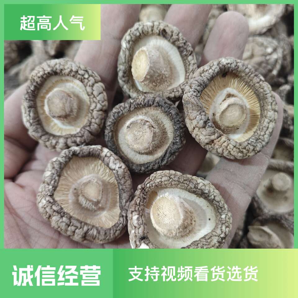 香菇新货 干度好香味醇正 规格齐全秋菇冬菇 肉厚花菇产地直发