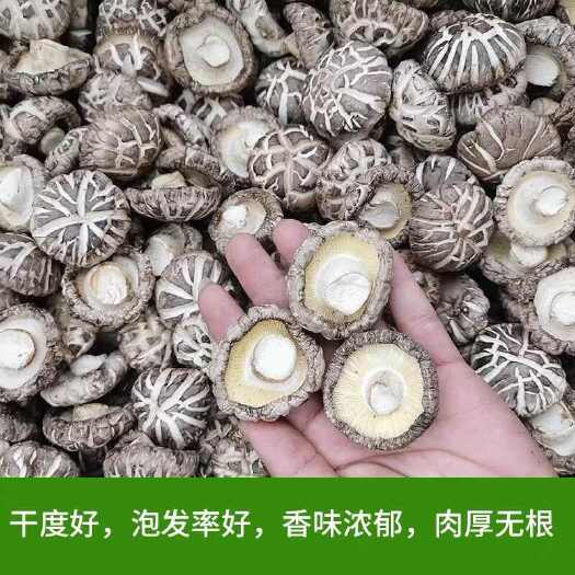 鲁山县电商可代发 精品香菇干货产地直发 肉厚无根个头均匀冬菇花菇