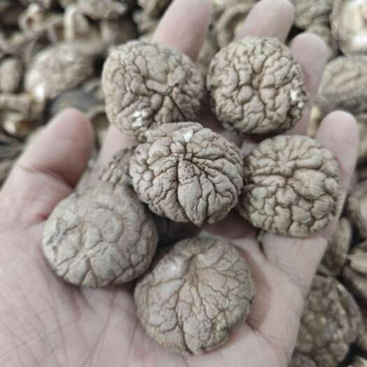 鲁山县精品花菇干香菇产地直发 干度好 冬菇新菇肉厚无根金钱菇可代发