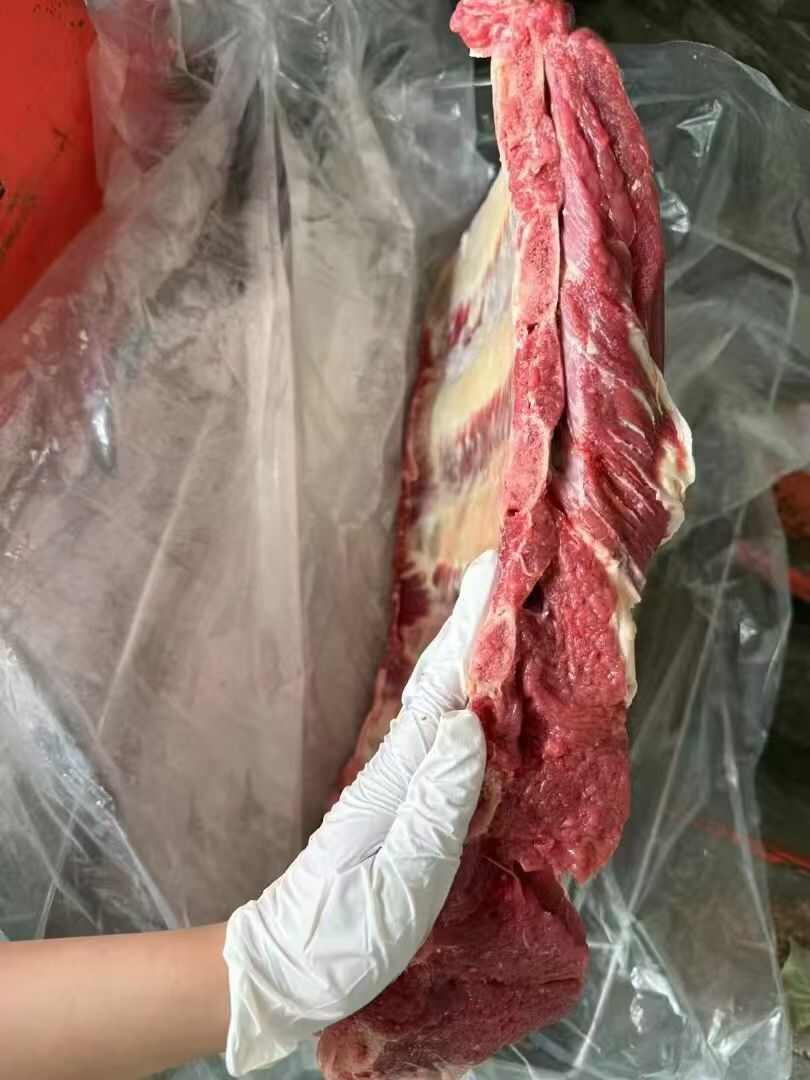 内蒙古牛排，精排骨，价格美丽