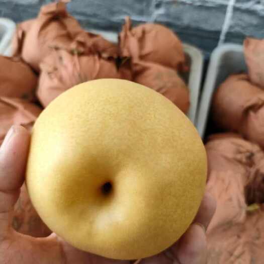 东阿县大黄梨，清脆多汁，适合存放