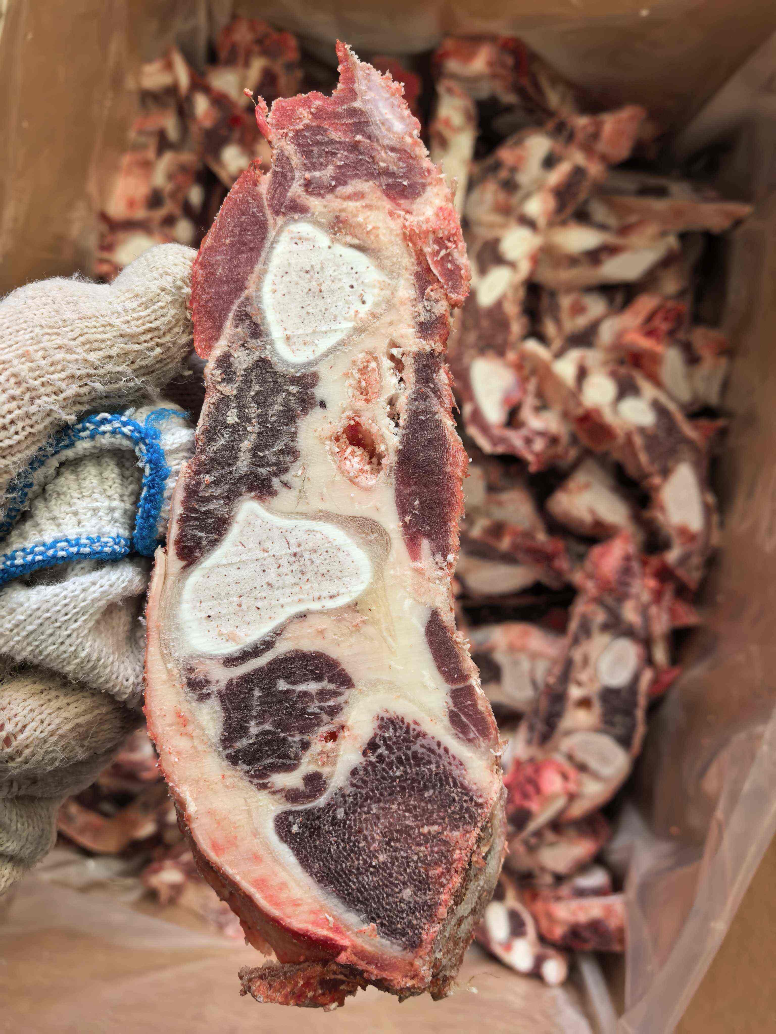 国产满肉牛胸骨切片 肉多价格不高 质量保证
