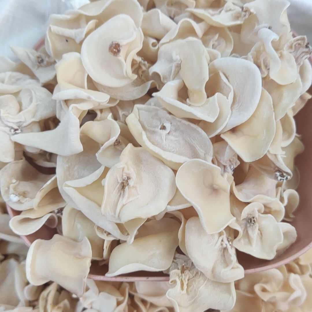 电商摆摊餐饮可装小袋 东北白玉木耳干货 大小均匀黑斑少包邮
