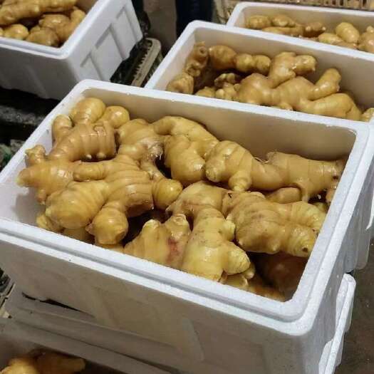 秦皇岛水洗姜