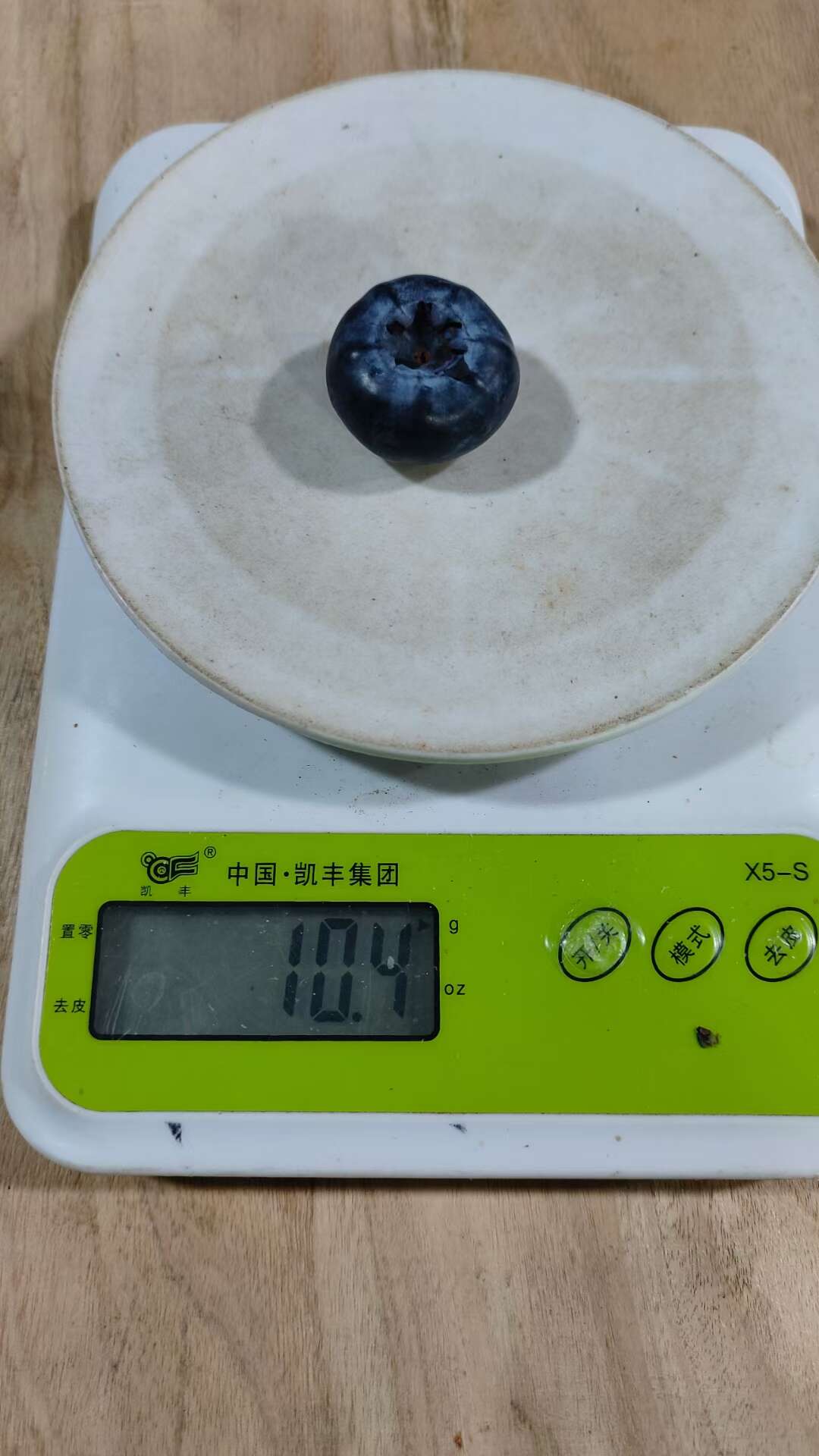 性价比高高的蓝莓来了，很实惠，有量的来