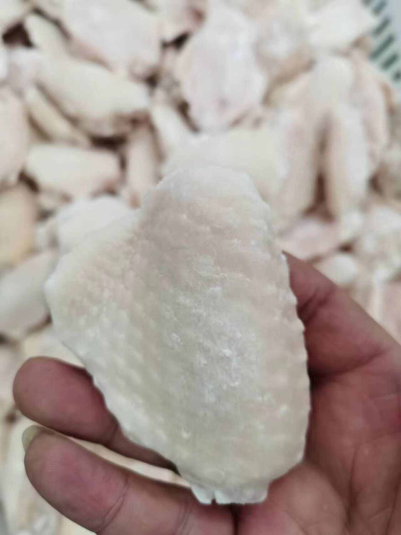 和康小水翅中规格齐全