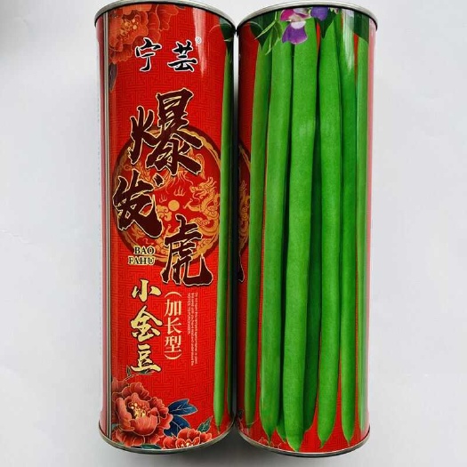 宿迁四季豆种子宁芸爆发虎小金豆种子加长型四季豆种子春秋播种架豆种