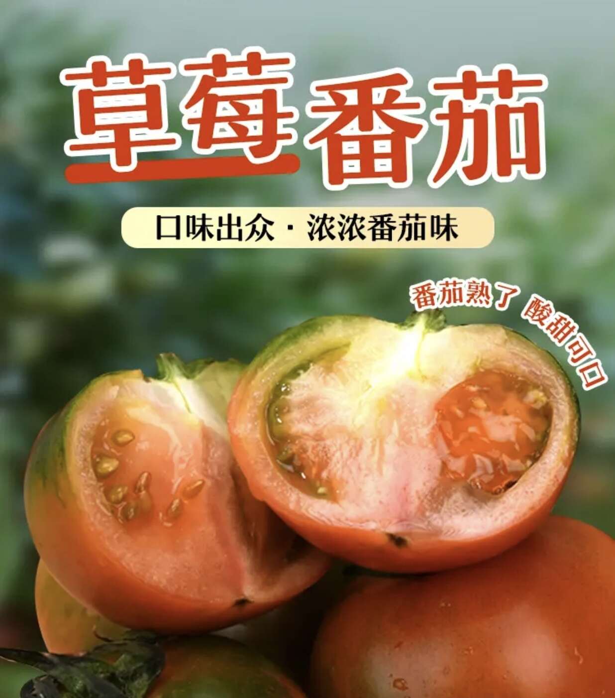 草莓番茄，草莓西红柿