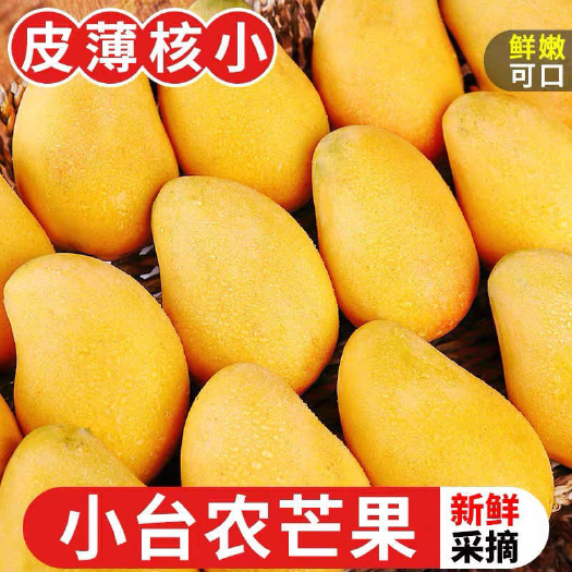 宁波【甜】海南小台农芒果新鲜台农大果奶茶店成熟芒果10斤装整箱
