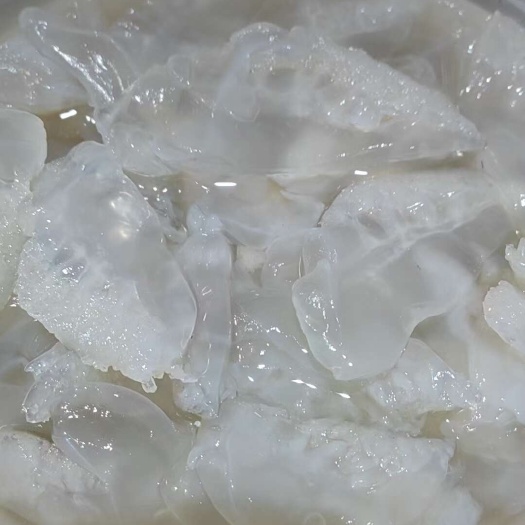 滨州大花