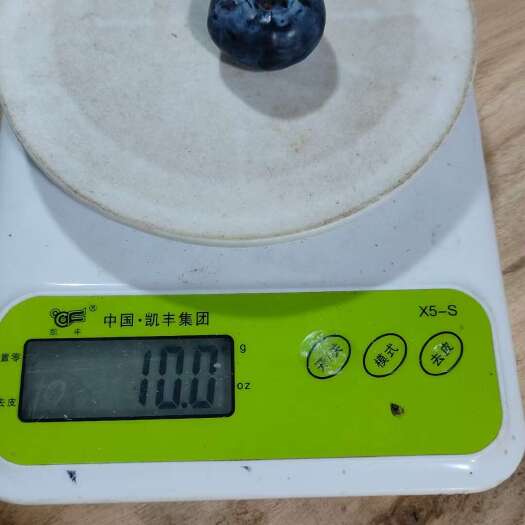 澄江市性价比高高的蓝莓来了，很实惠，有量的来