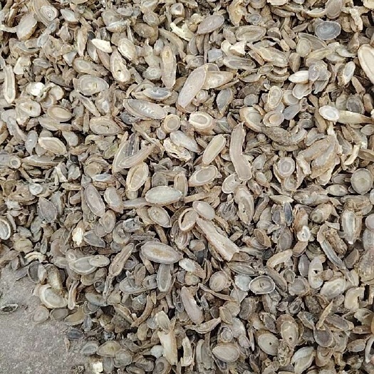 玉林桂郁金