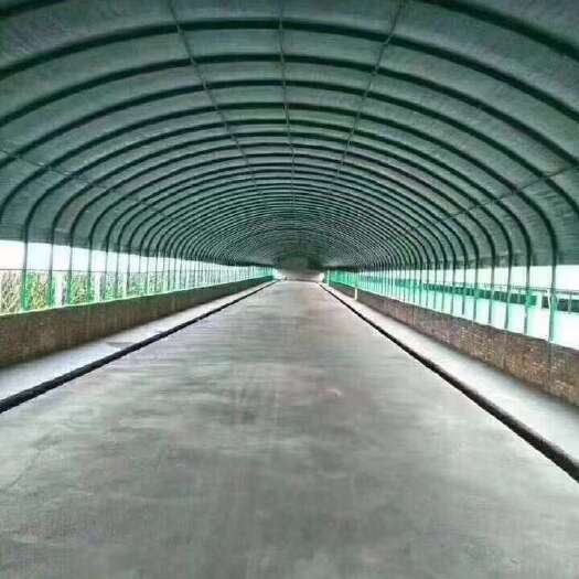 天津养殖大棚养羊保温大棚厂家牛羊猪场用大棚管椭圆管拱形大棚