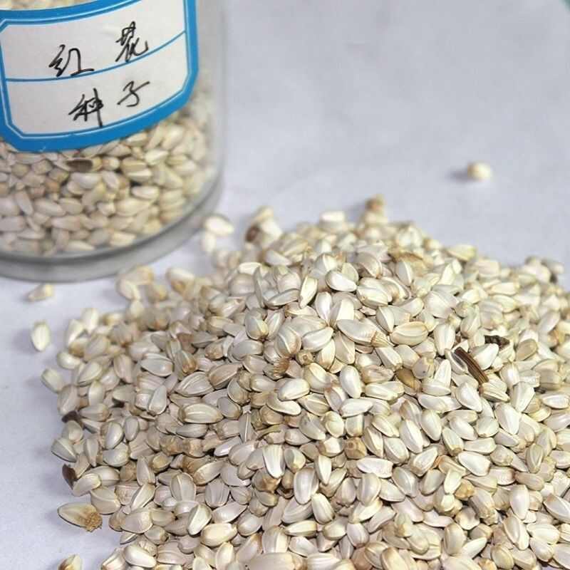 红花种子中药材网红花种籽新疆刺红花种孑春四季种植产量高