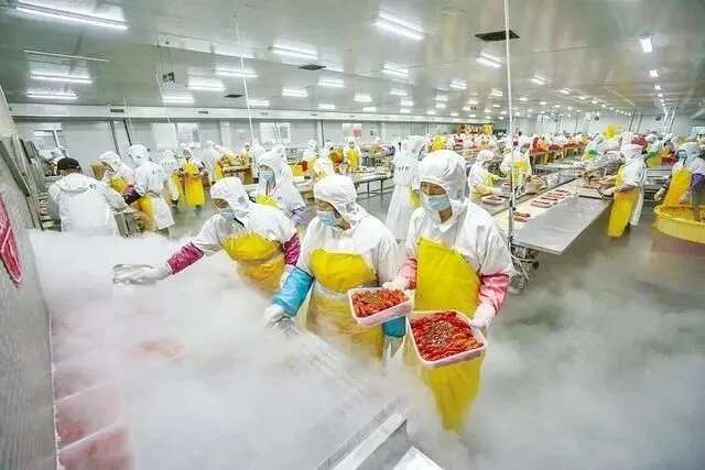 液氮锁鲜速冻小龙虾，全国物流直达包邮发货