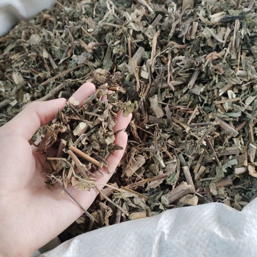 玉林批发豨笠草