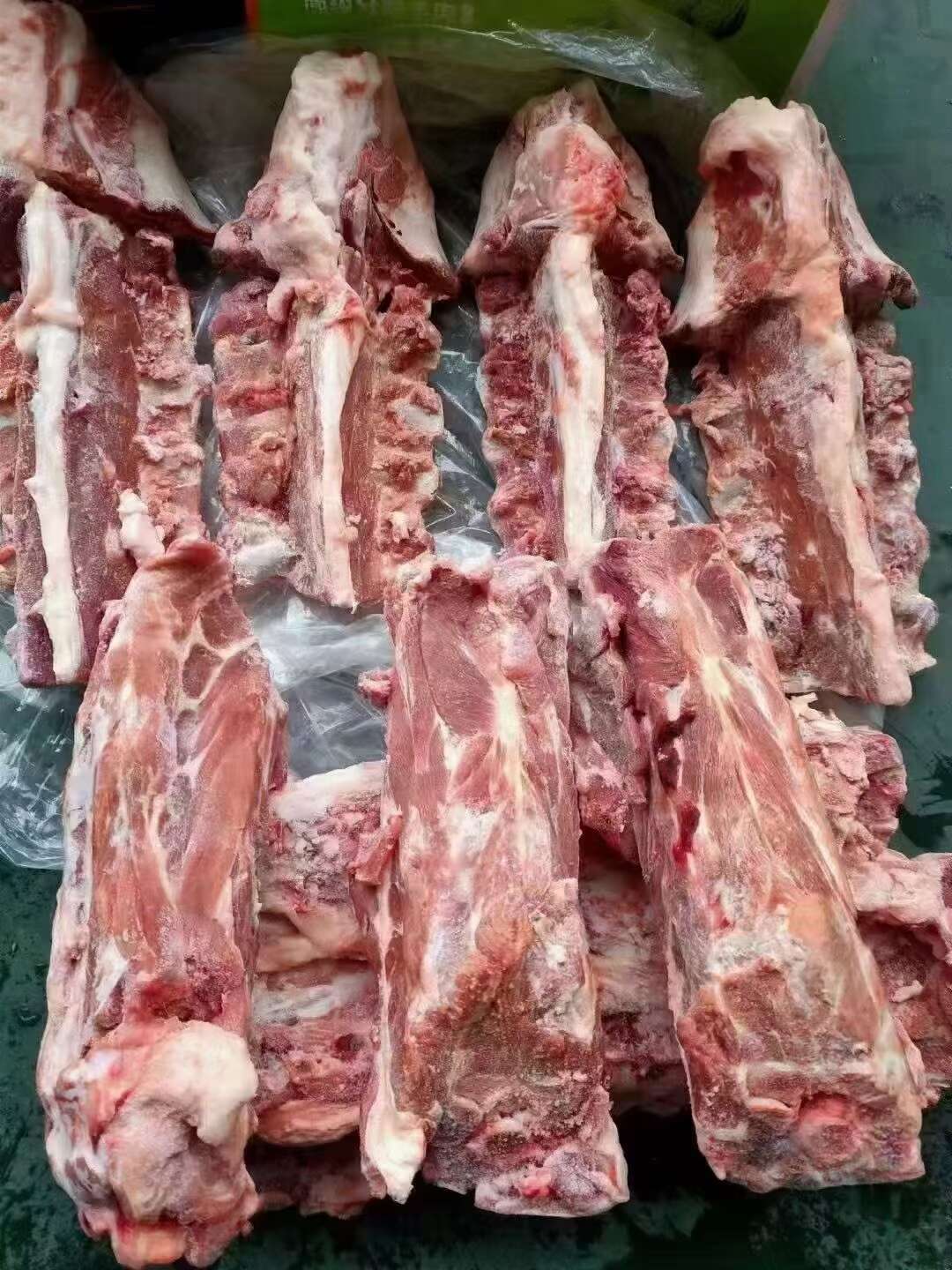 羔羊满肉羊蝎子.口感好.肉质鲜嫩