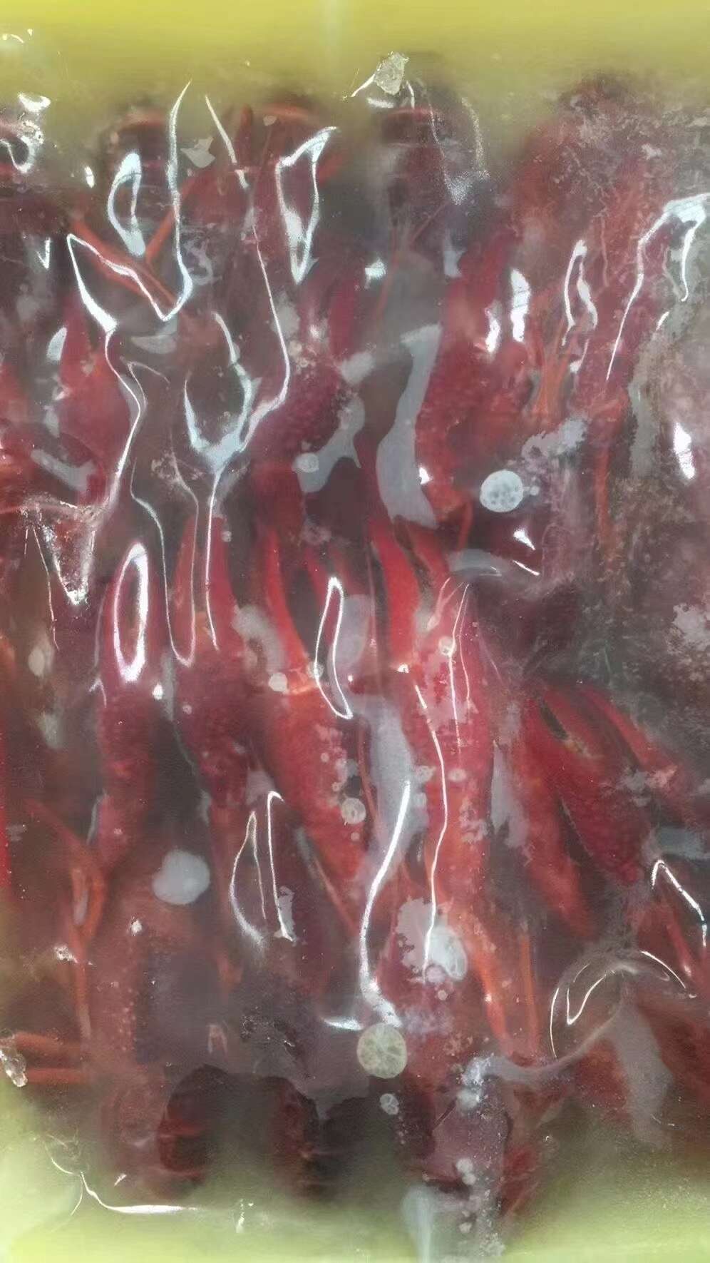液氮锁鲜速冻小龙虾，全国物流直达包邮发货