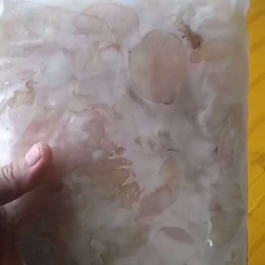 潜江市各种鱼泡大量有货，草鱼，白莲，鲤鱼