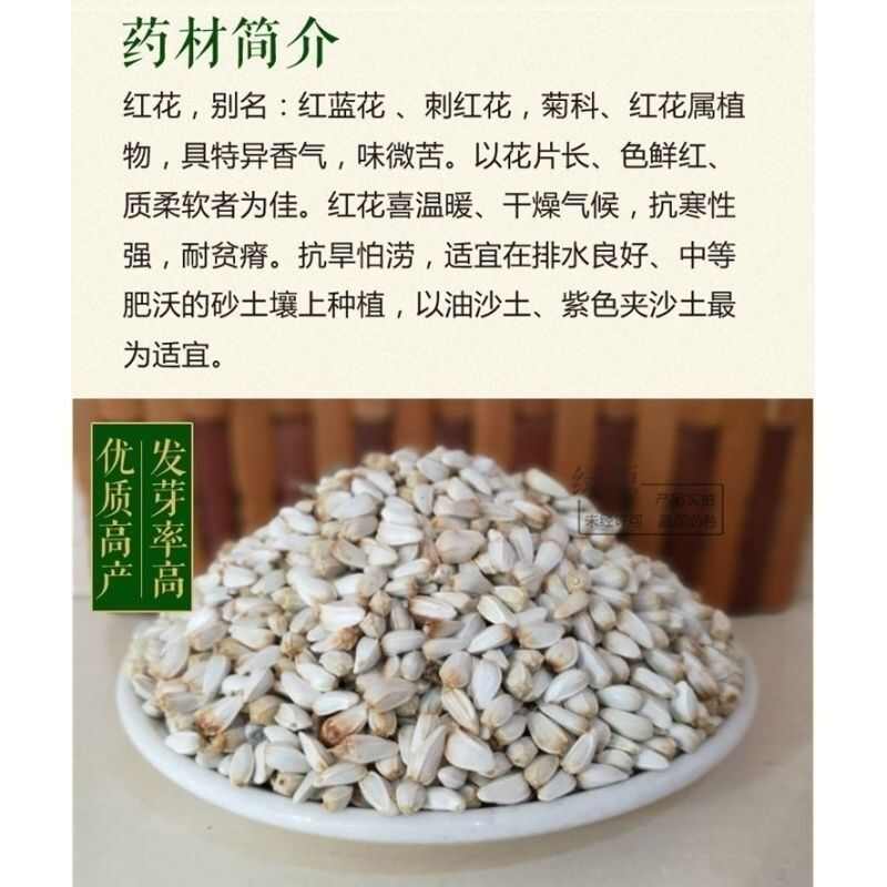 红花种子中药材网红花种籽新疆刺红花种孑春四季种植产量高