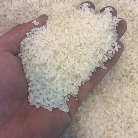 大米