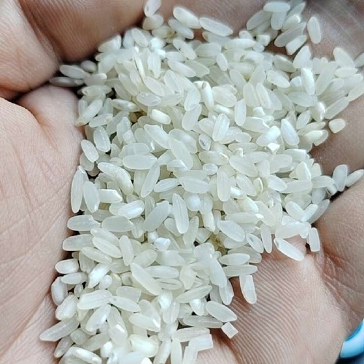 厦门桂朝米