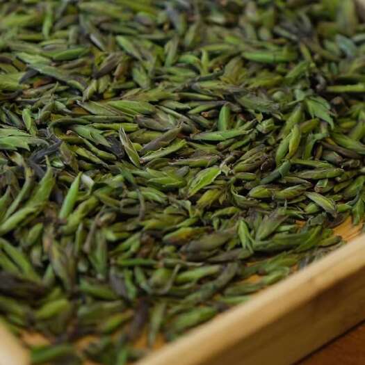 凤庆县云南野紫芽孢茶 2024年古树芽孢春茶源产地直销批发