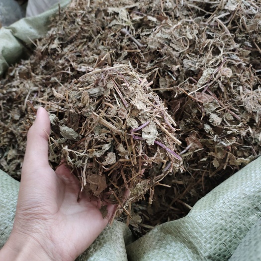 玉林批发透骨消