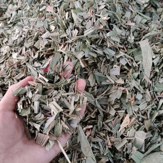 玉林批发淡竹叶