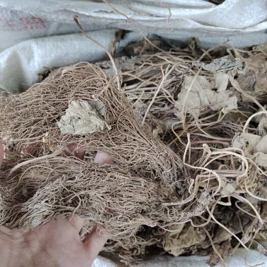 玉林批发细辛