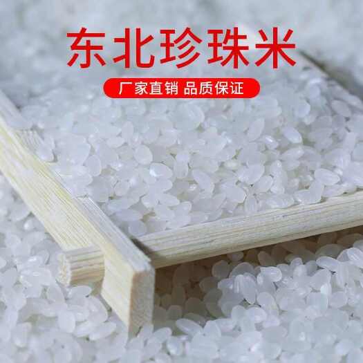 五常市东大米  东北珍珠米秋田小町米俏江东品牌批发零售团购一件代发