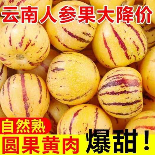 崇州市云南石林人参果水果新鲜应季孕妇当季圆果黄肉黄心人生树上熟整箱