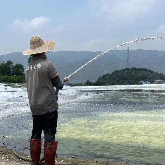 清塘邦石灰喷洒机器，发财项目