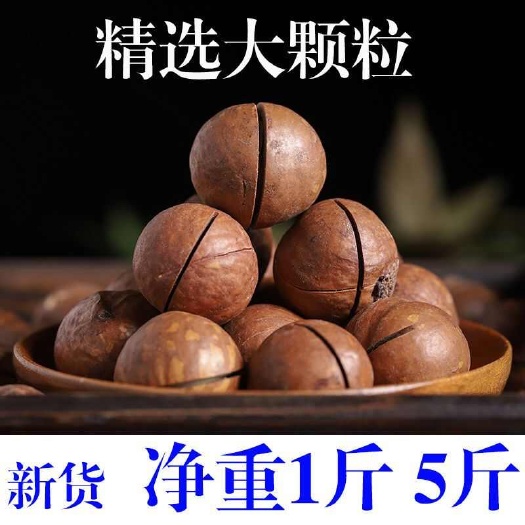 全州县【工厂直销批发 夏威夷果】新货奶油味原味坚果休闲零食一整箱