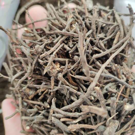 玉林批发威灵仙