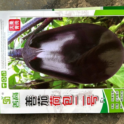 善高青肉善茄荷包二号茄子种子，早熟乌黑发亮抗病光泽度好