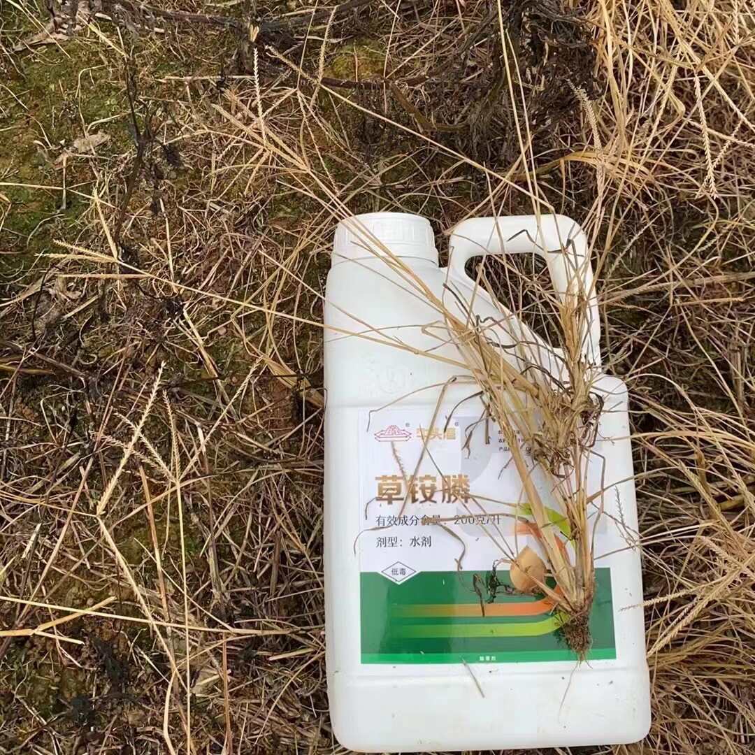 20%草铵膦柑橘园除草剂牛二牛头湾牛么王立本厂家