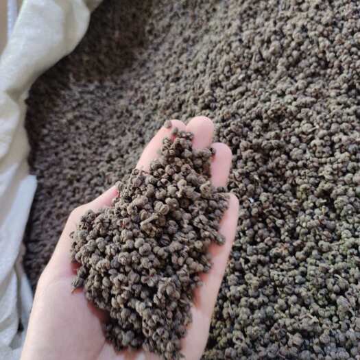玉林批发吴茱萸