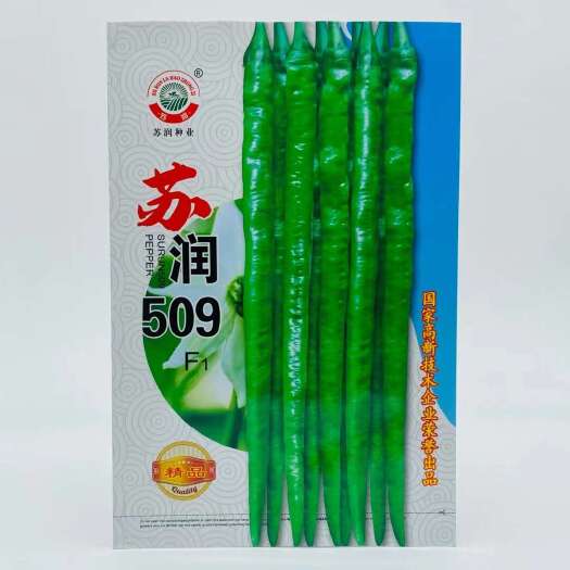 宿迁早中熟苏润系列长线椒种子苏润508长线椒种子大田基地播种