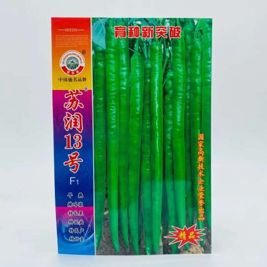 宿迁苏润早熟系列长线椒种子丰产抗病果长辣椒种子大田基地用线椒种子