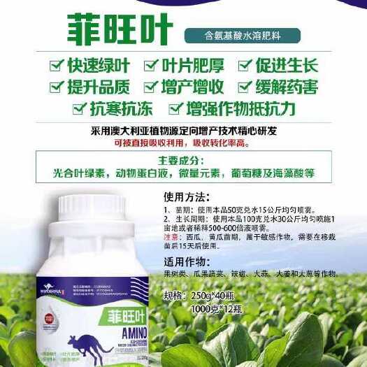 封丘县菲旺叶聚谷氨酸蛋白肽