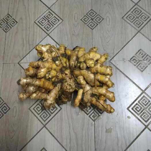 揭阳黄姜