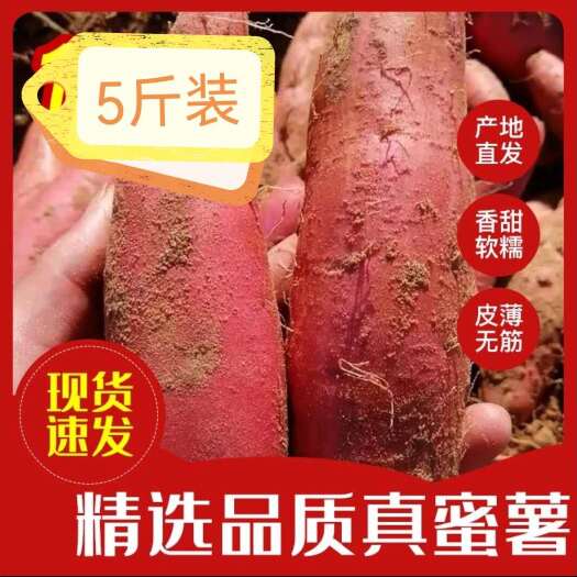 雄县软糯香甜流糖无丝5斤包邮