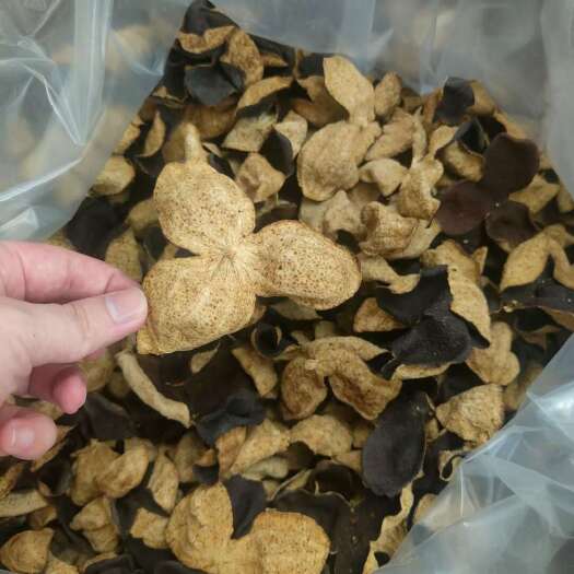 普宁市陈皮 新货陈皮 老陈皮 味道香 一手货源批发零售