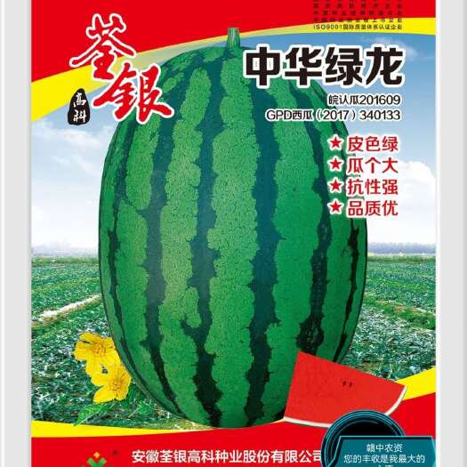 樟树市安徽荃银种业中华绿龙原名（中华第一瓜）西瓜种子80g