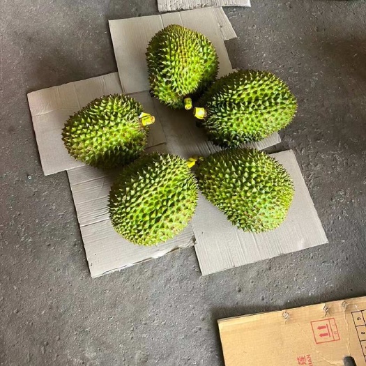 河口县榴莲