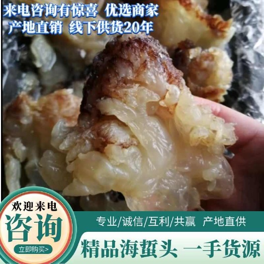 滨州海蜇头，海蛰丝基地直发，大量库存可常年供货