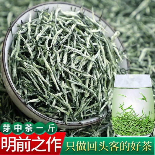 武汉毛尖茶叶绿茶毛尖2023新茶自产自销高山嫩芽茶浓香型散装