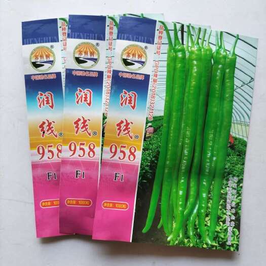 宿迁辣椒种子润线888长线椒种子味香辣商品性好春秋播种长线椒种子