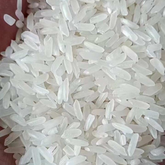 长丰县丰良优价格美丽量大的来可以签年单20年谷子现磨